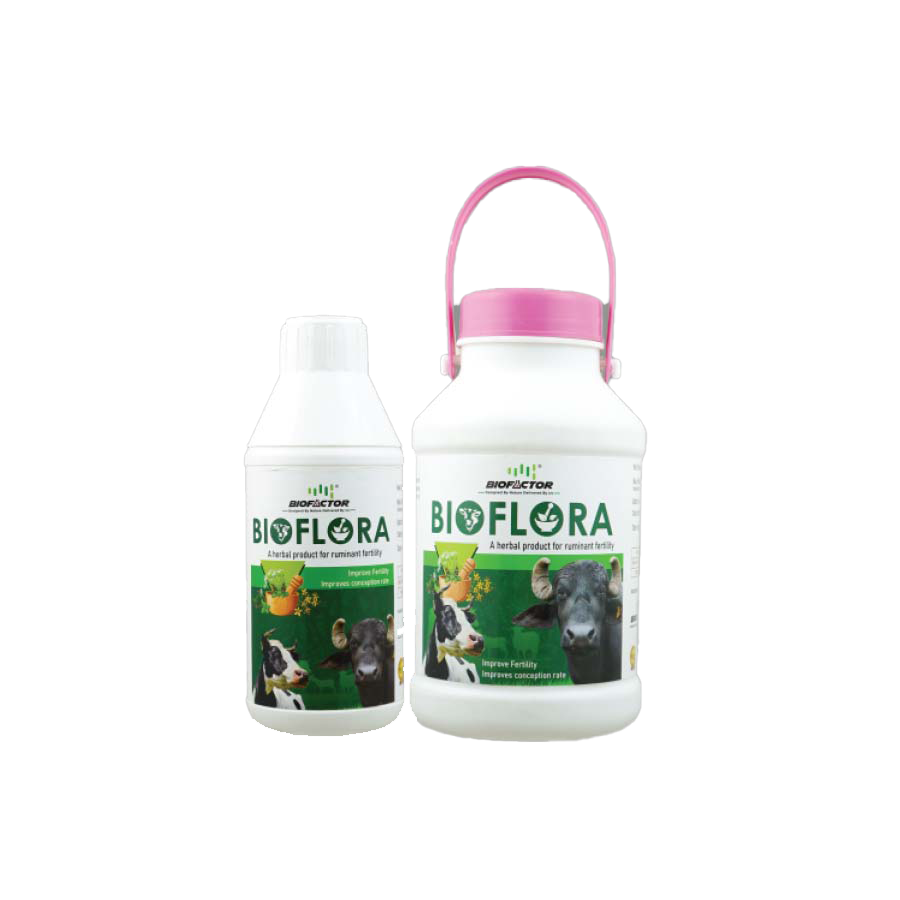 BIOFLORA |A herbal product for ruminant fertility