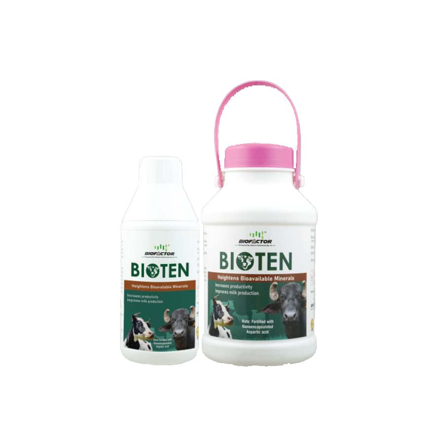 BIOTEN | Heightens Bioavailable Minerals