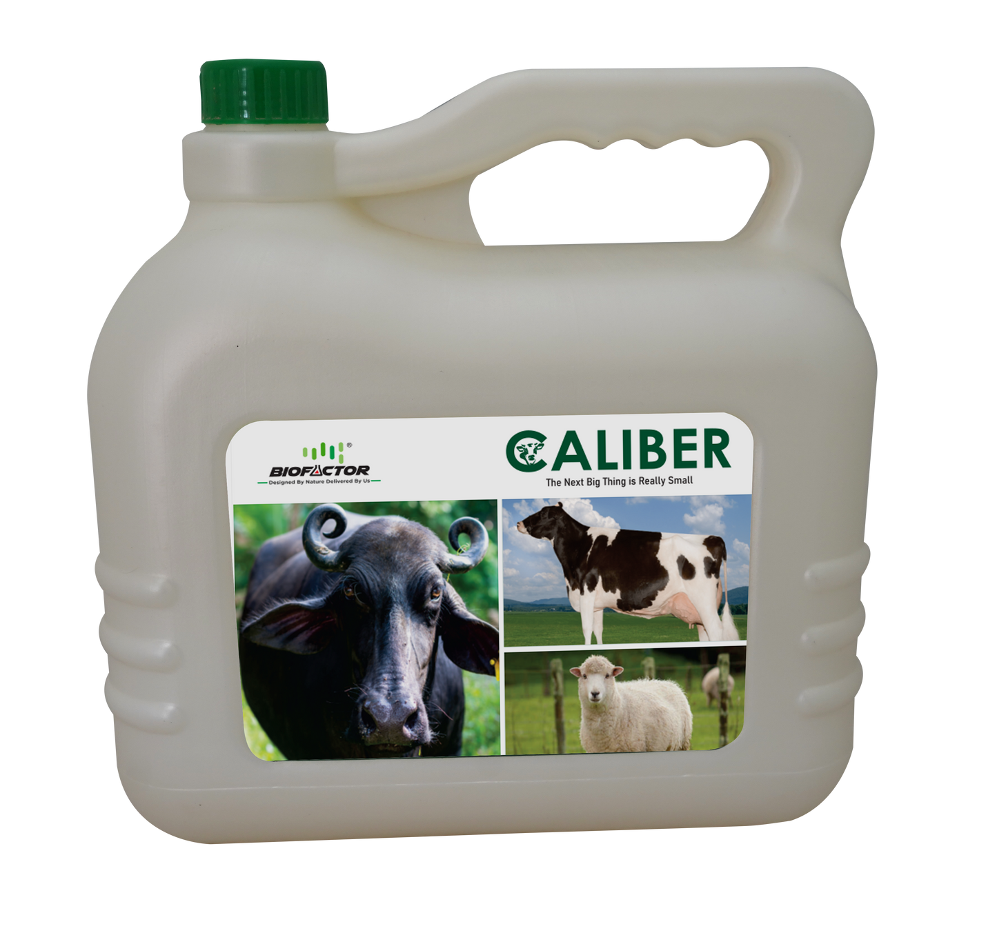 Caliber | The Next Big Thing is Really Small