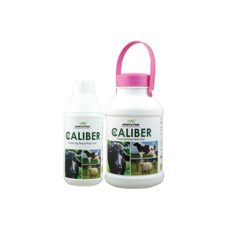 Caliber | The Next Big Thing is Really Small