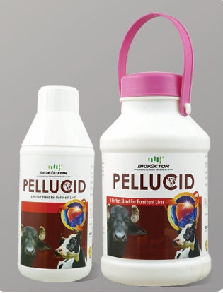 Pellucid | A Perfect Blend For Ruminant Liver