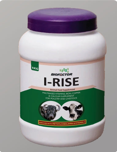 I-Rise | The Next Big Thing is Really Small