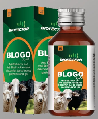 BLOGO | with Suspension base