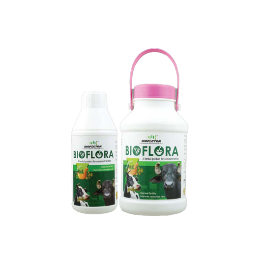 BIOFLORA |A herbal product for ruminant fertility