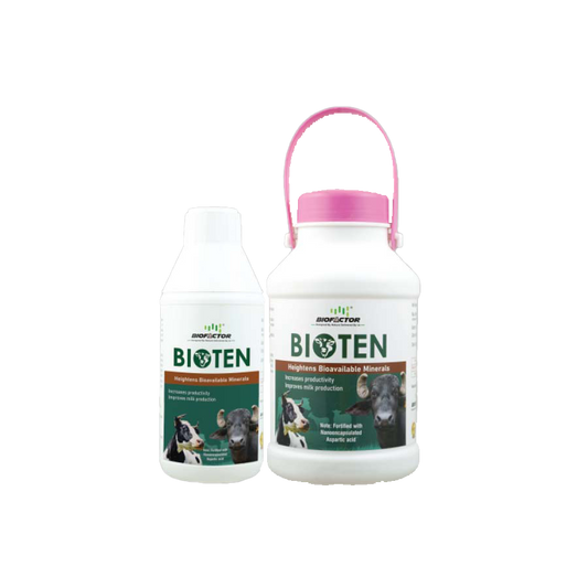 BIOTEN | Heightens Bioavailable Minerals