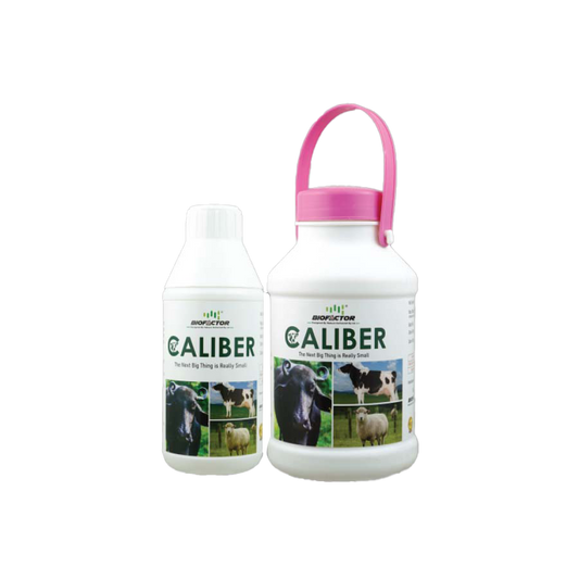 Caliber | The Next Big Thing is Really Small