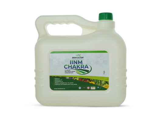 IINM Chakra -
