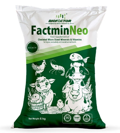 FactminNeo