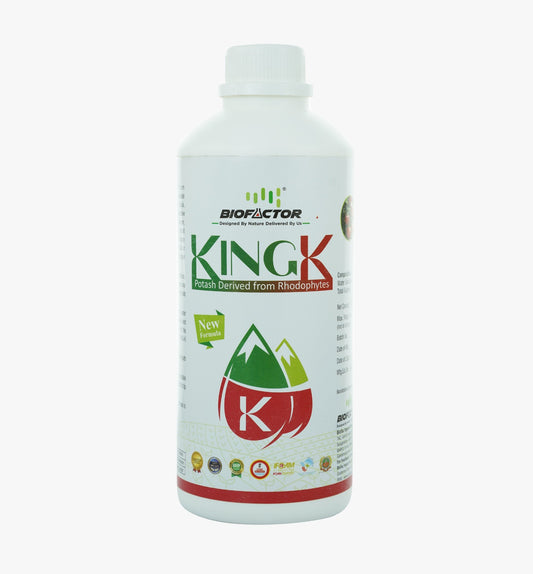 King- K
