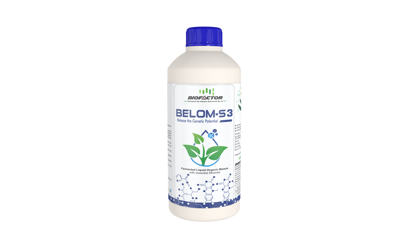 Belom Series - Fermented Liquid Organic Manure - 1Ltr & 5 Ltr
